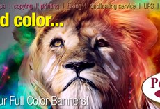 Full Color Banners